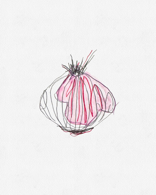 RED ONION ll