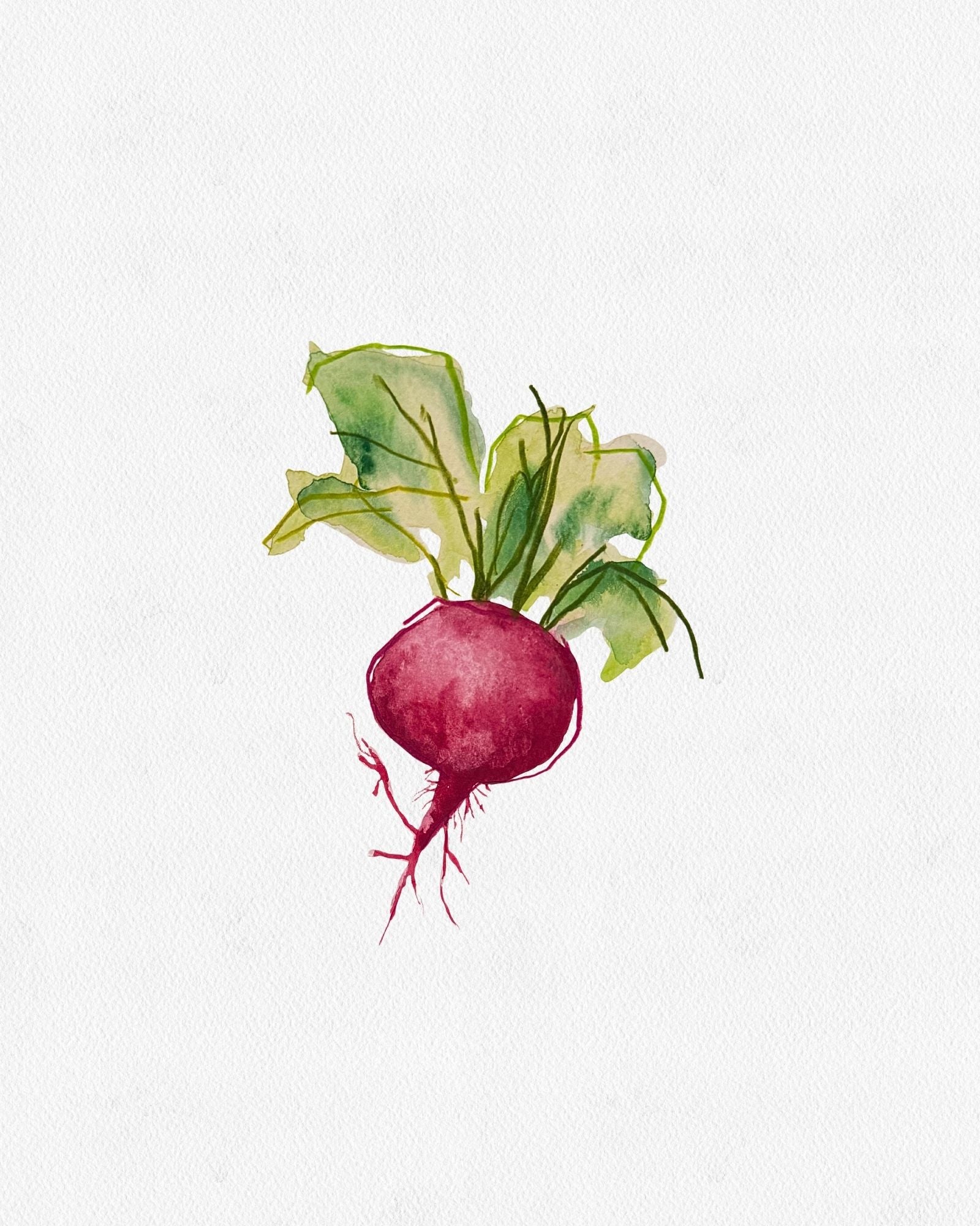 RADISH – CHELSEA LEIFKEN
