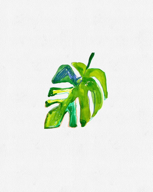MONSTERA LEAF