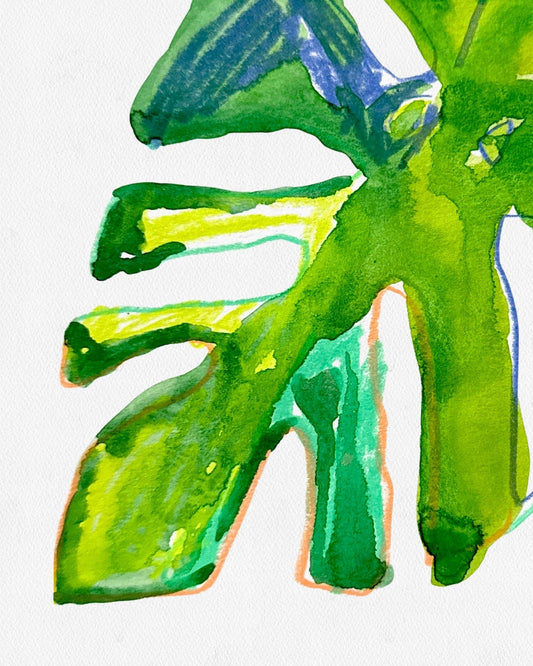 MONSTERA LEAF