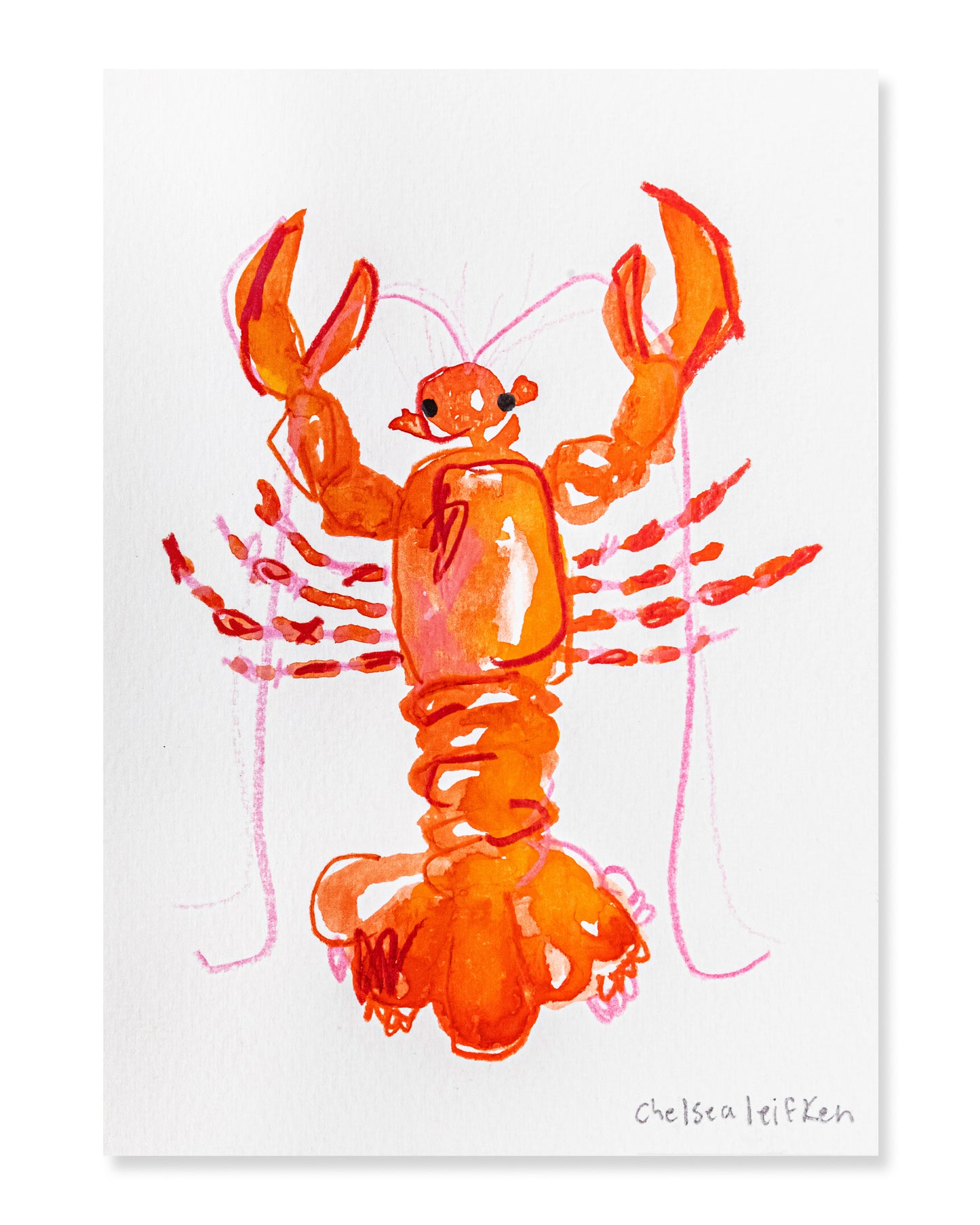MINI LOBSTER