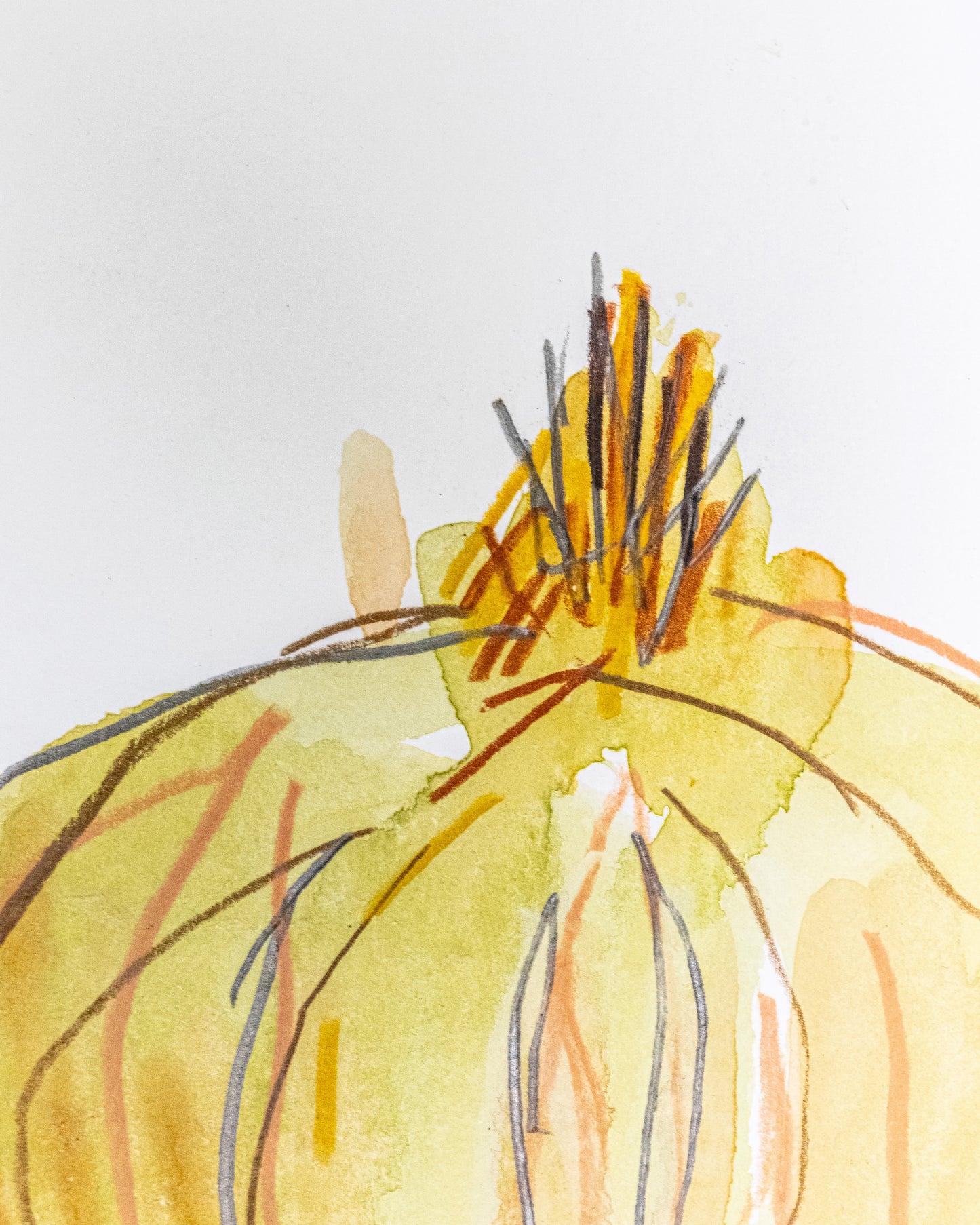 ONION