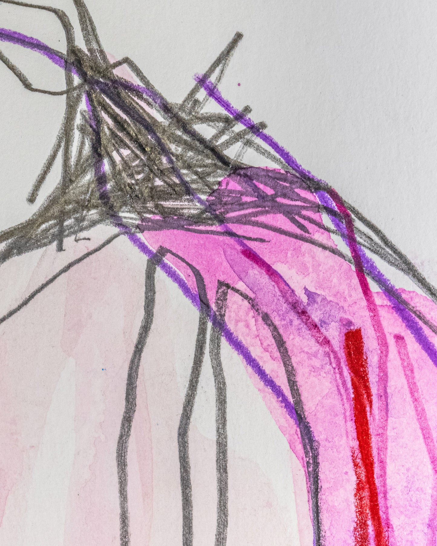 RED ONION
