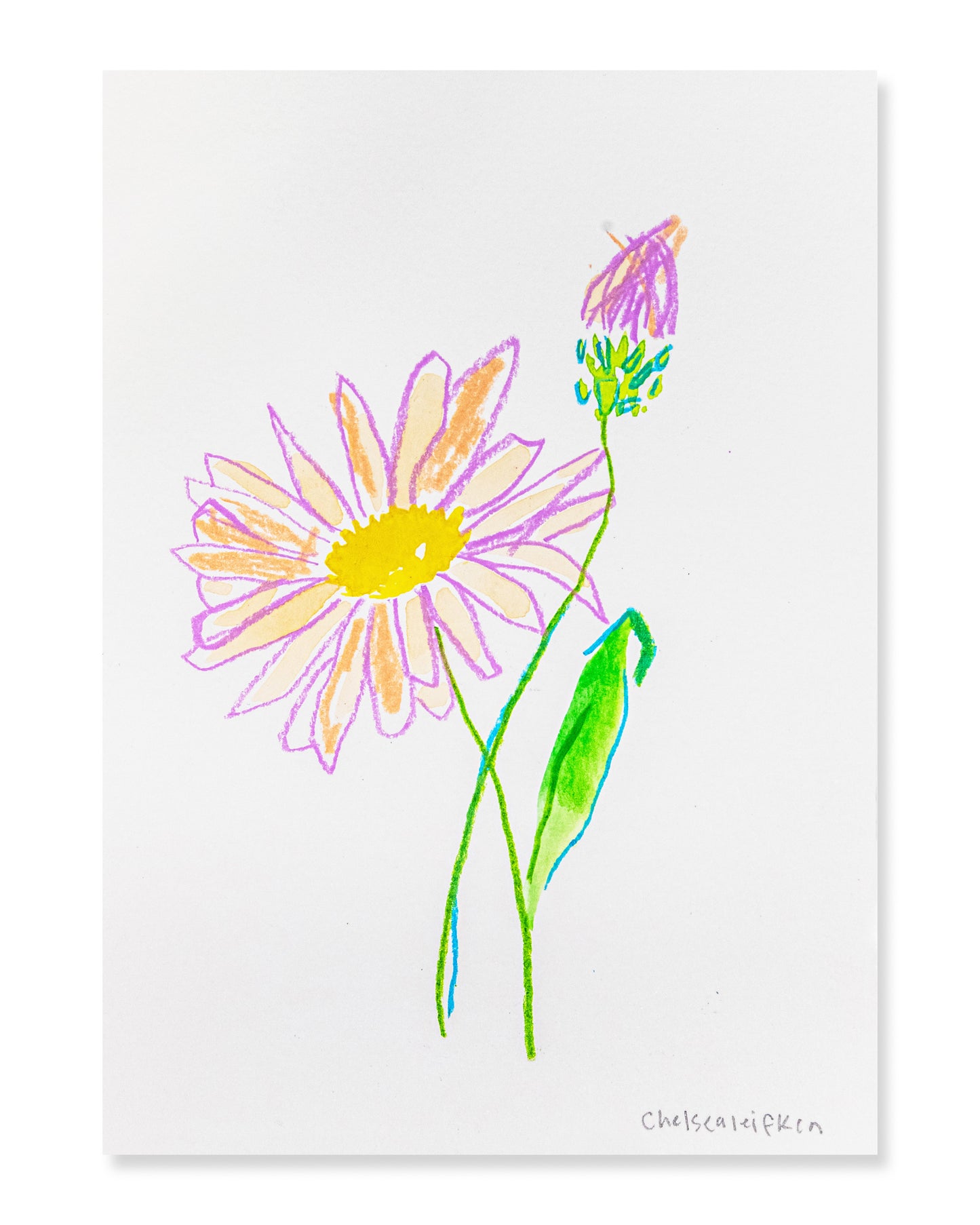 WILDFLOWERS