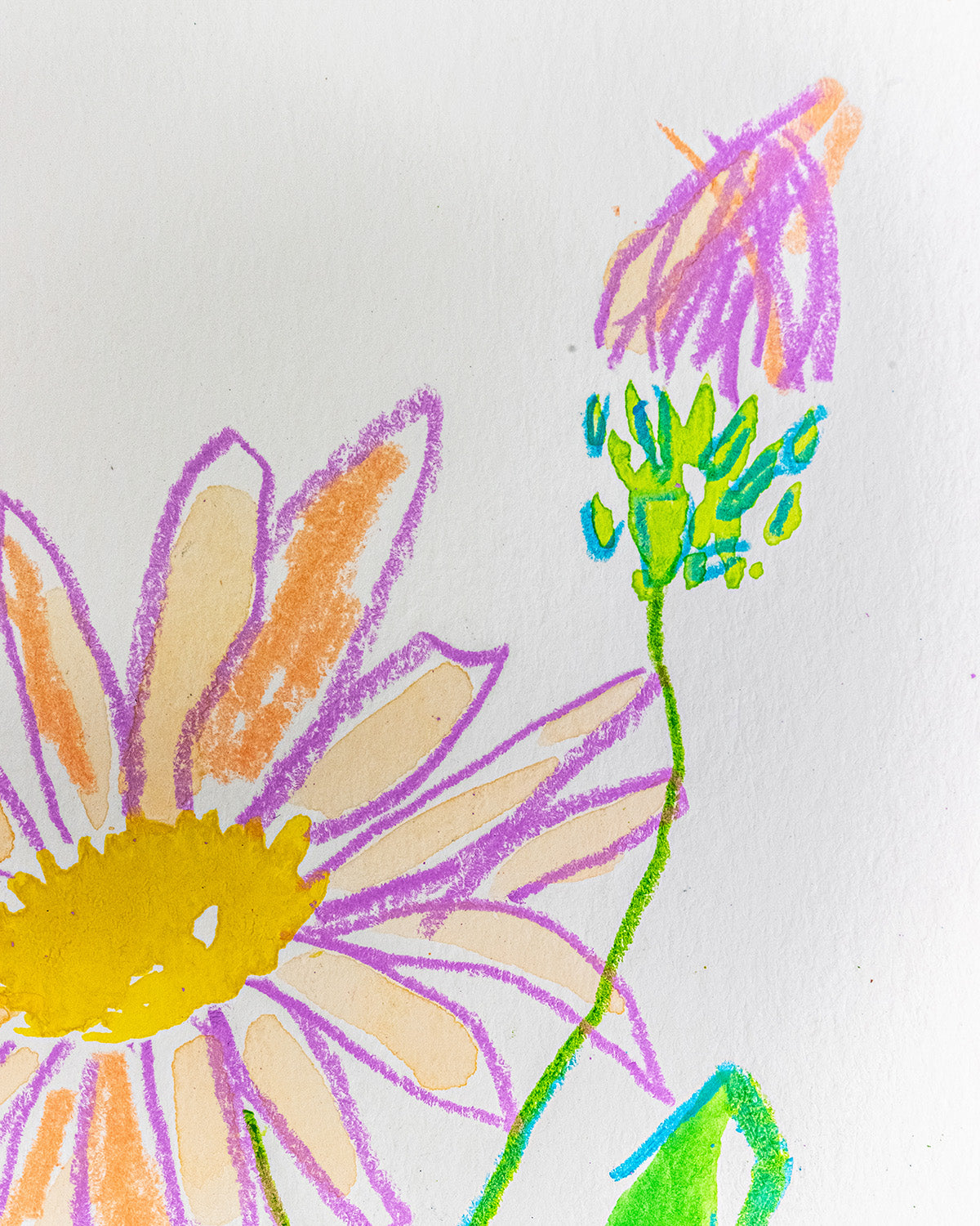 WILDFLOWERS
