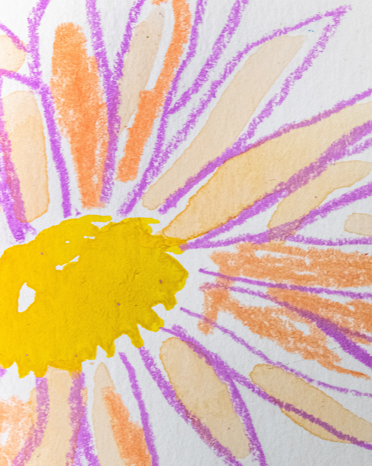 WILDFLOWERS
