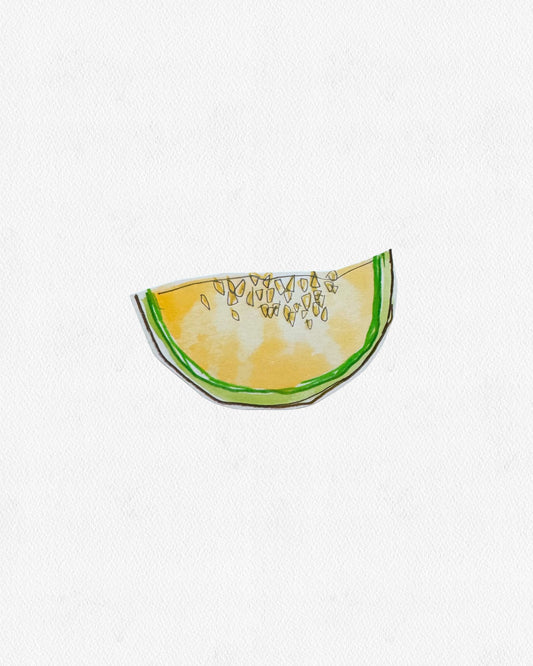 MELON SLICE
