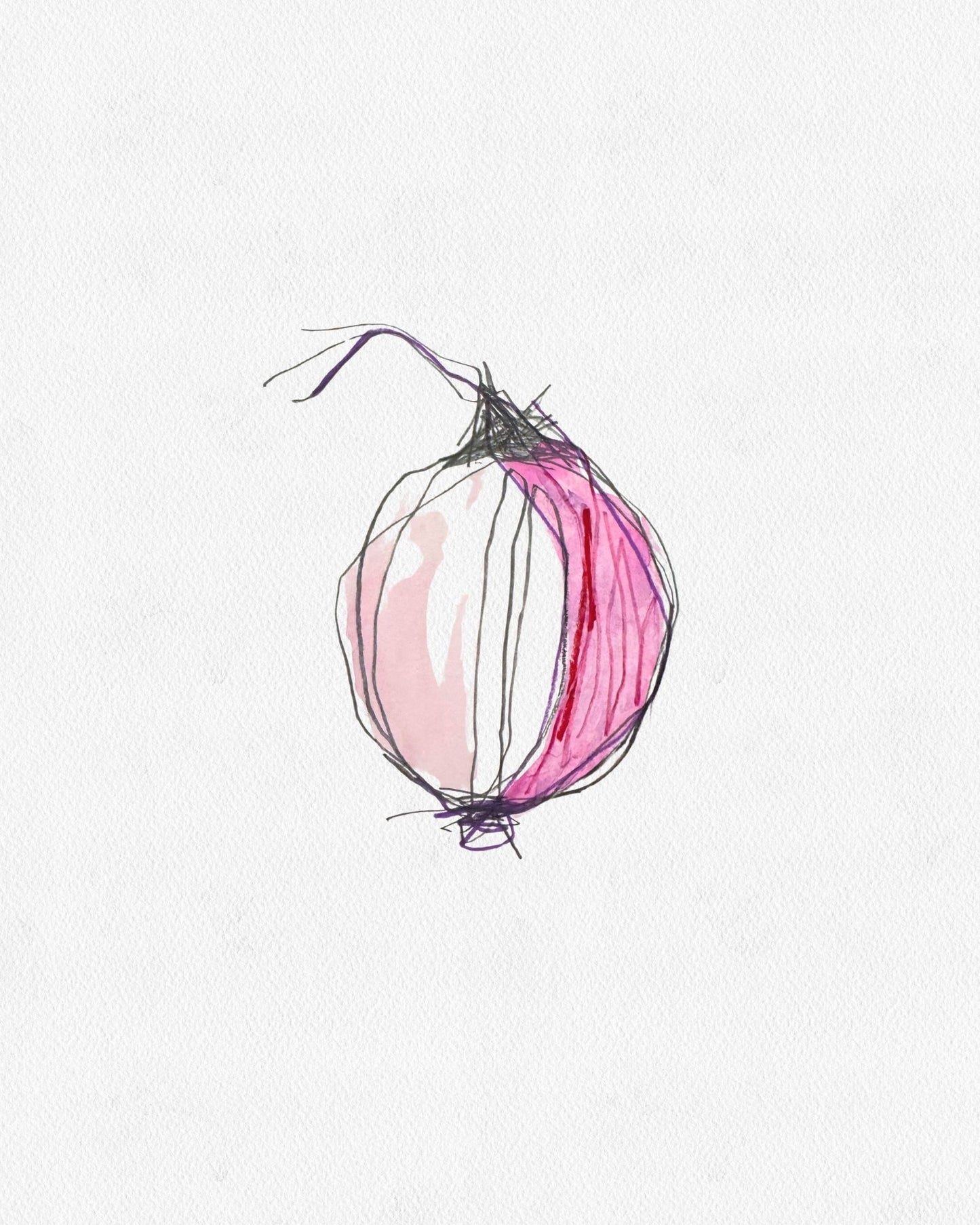 RED ONION I
