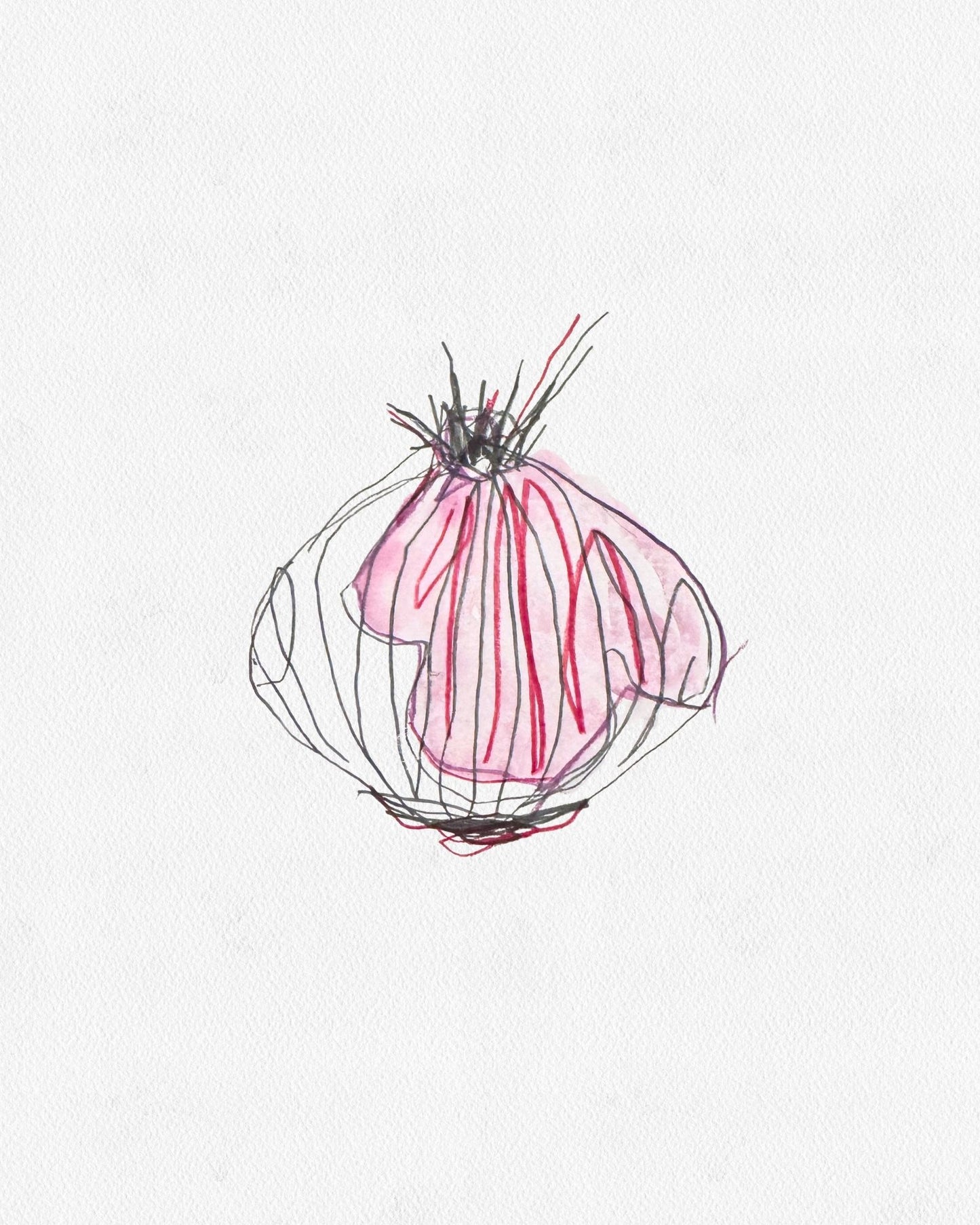 RED ONION ll