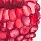 RASPBERRY
