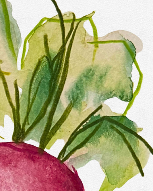 RADISH