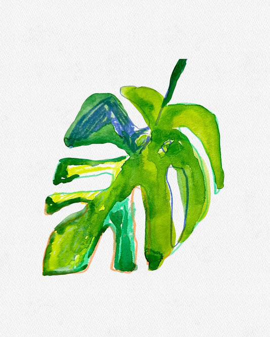 MONSTERA LEAF